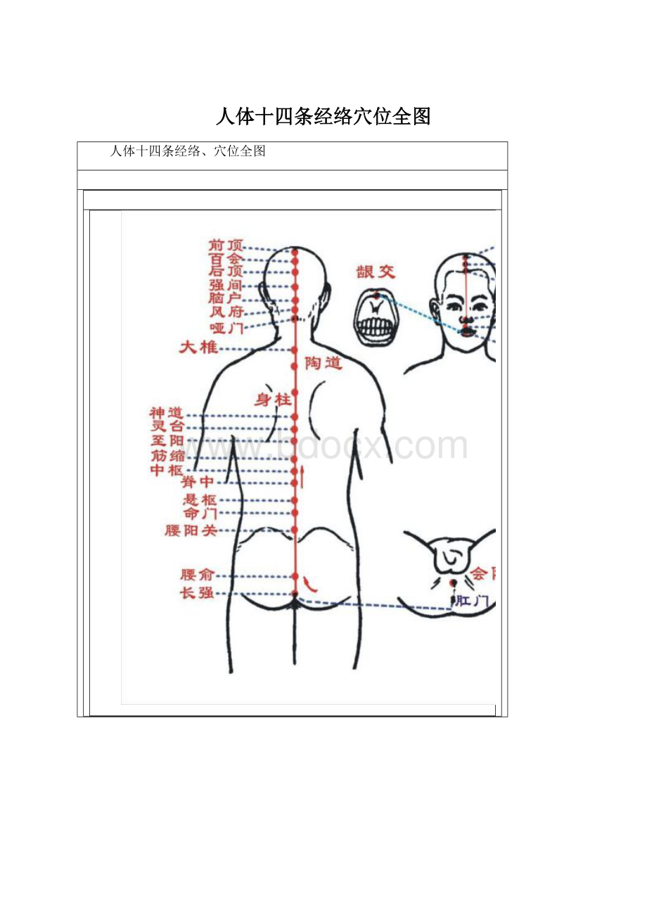 人体十四条经络穴位全图文档格式.docx_第1页