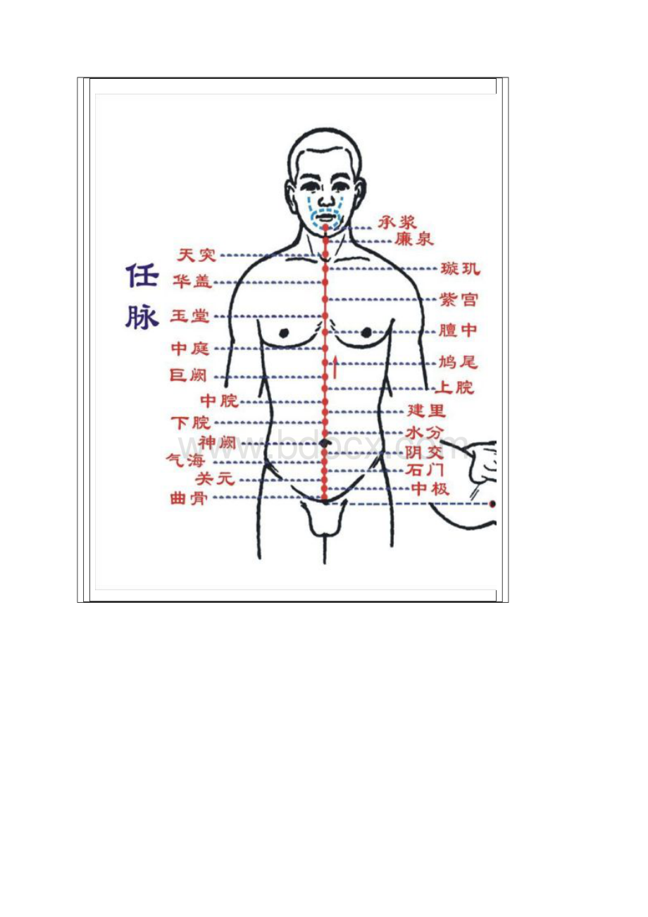 人体十四条经络穴位全图文档格式.docx_第2页