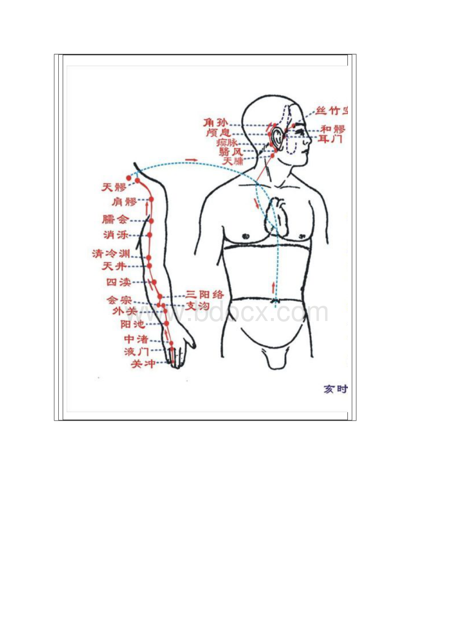 人体十四条经络穴位全图文档格式.docx_第3页