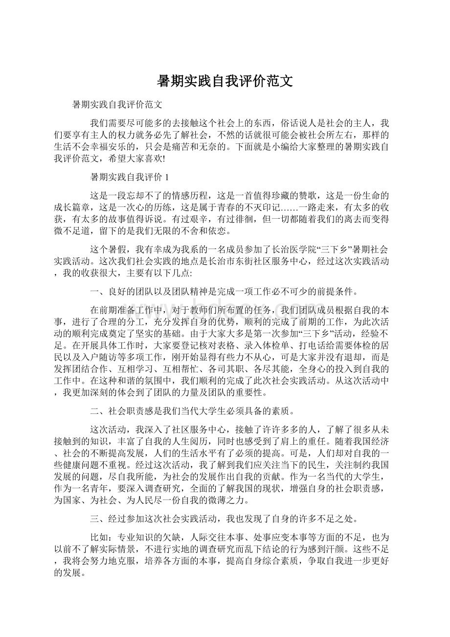 暑期实践自我评价范文Word格式文档下载.docx