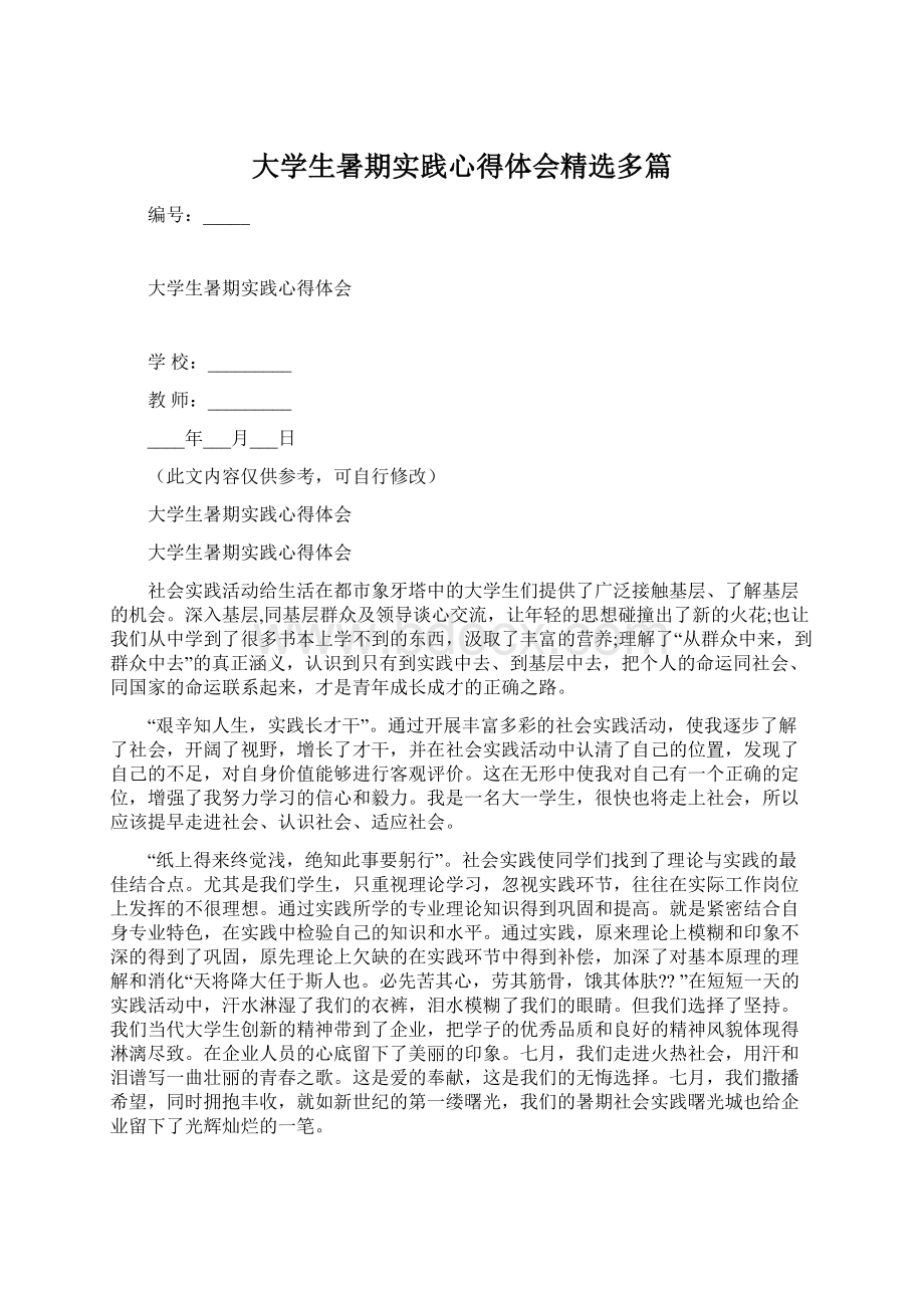 大学生暑期实践心得体会精选多篇.docx