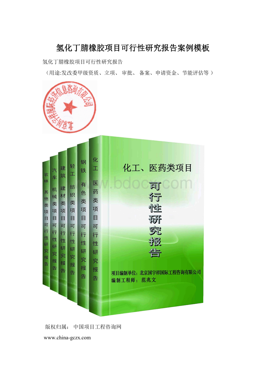 氢化丁腈橡胶项目可行性研究报告案例模板Word文件下载.docx