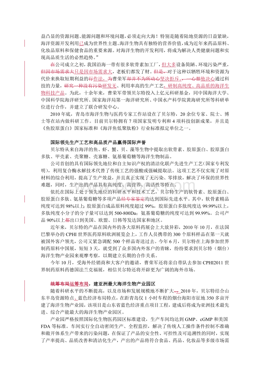 贝尔特：蔚蓝大海的领军企业1Word文档格式.doc_第2页