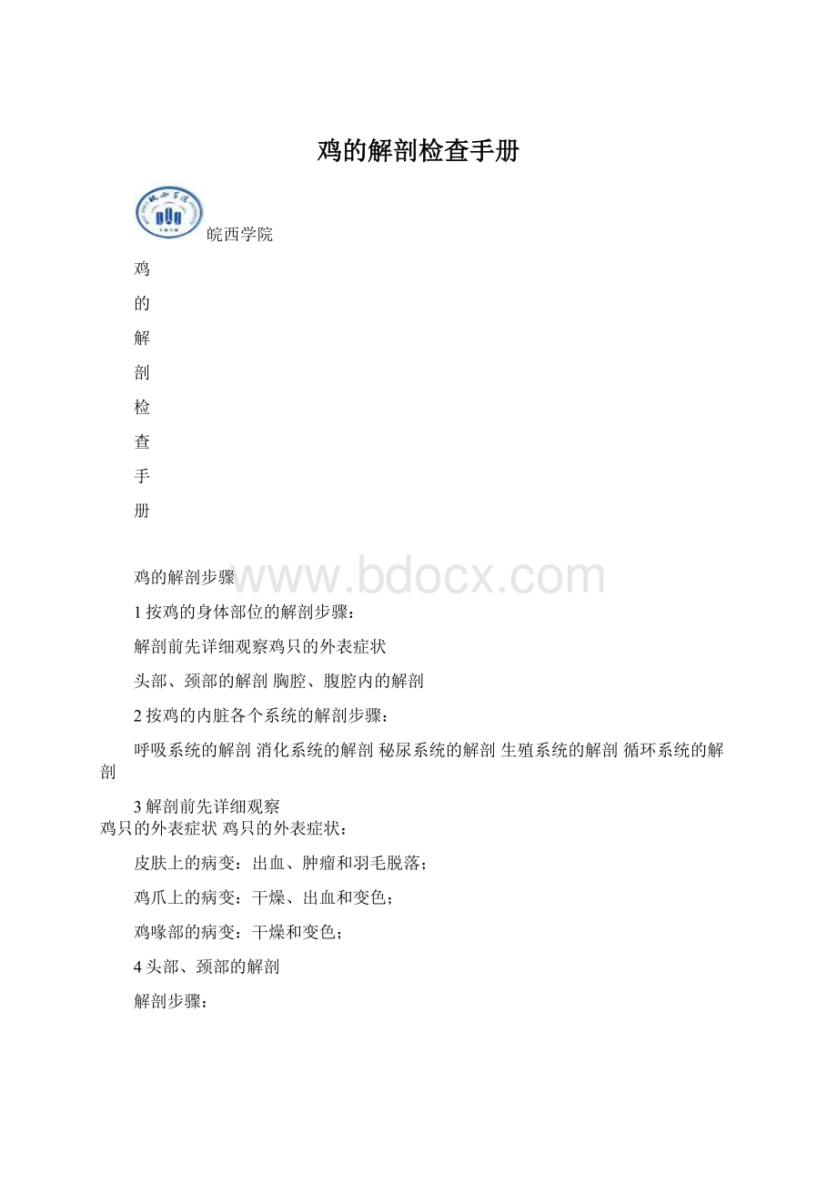 鸡的解剖检查手册Word文档格式.docx_第1页