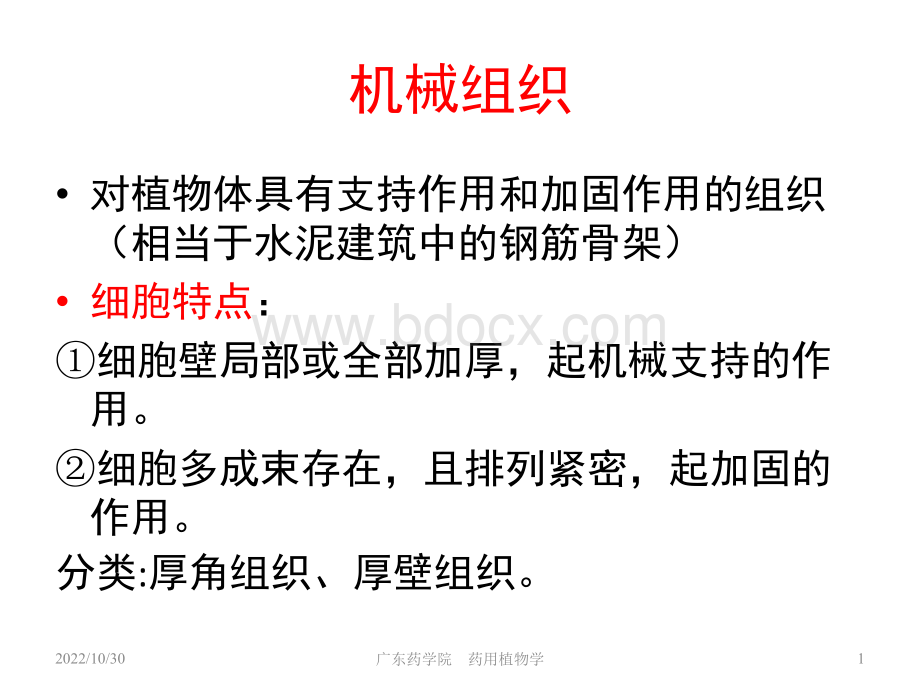 组织2PPT文档格式.ppt