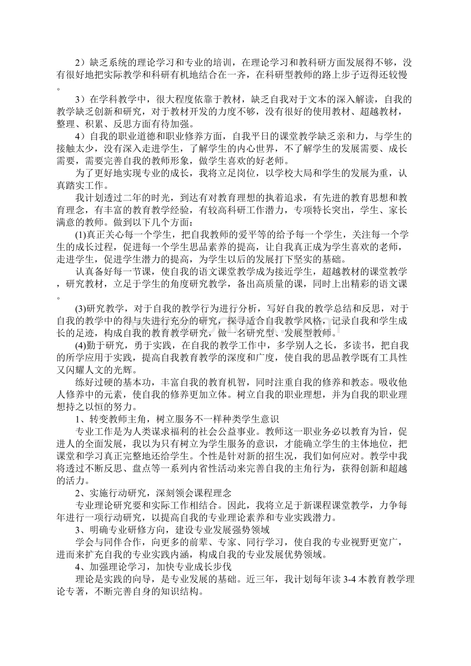 教师职业发展计划.docx_第3页