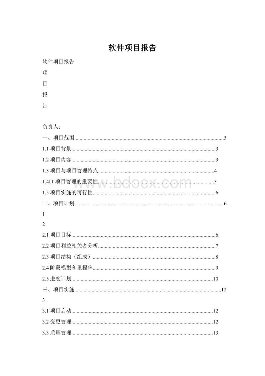 软件项目报告Word格式文档下载.docx