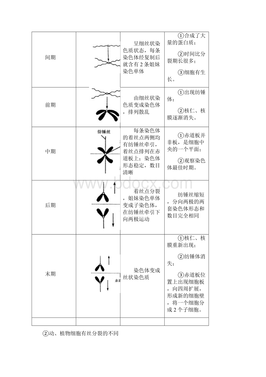 第4讲 细胞的生命历程Word格式.docx_第2页