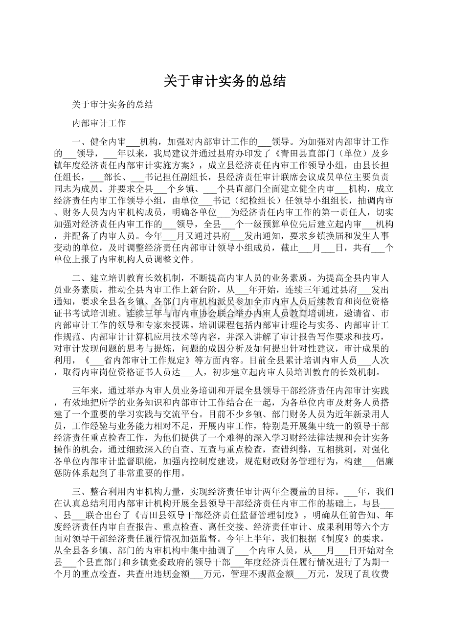 关于审计实务的总结.docx