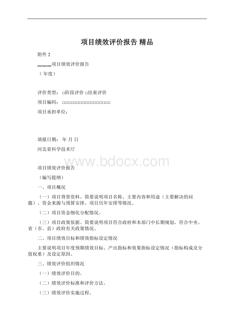 项目绩效评价报告 精品Word文档格式.docx