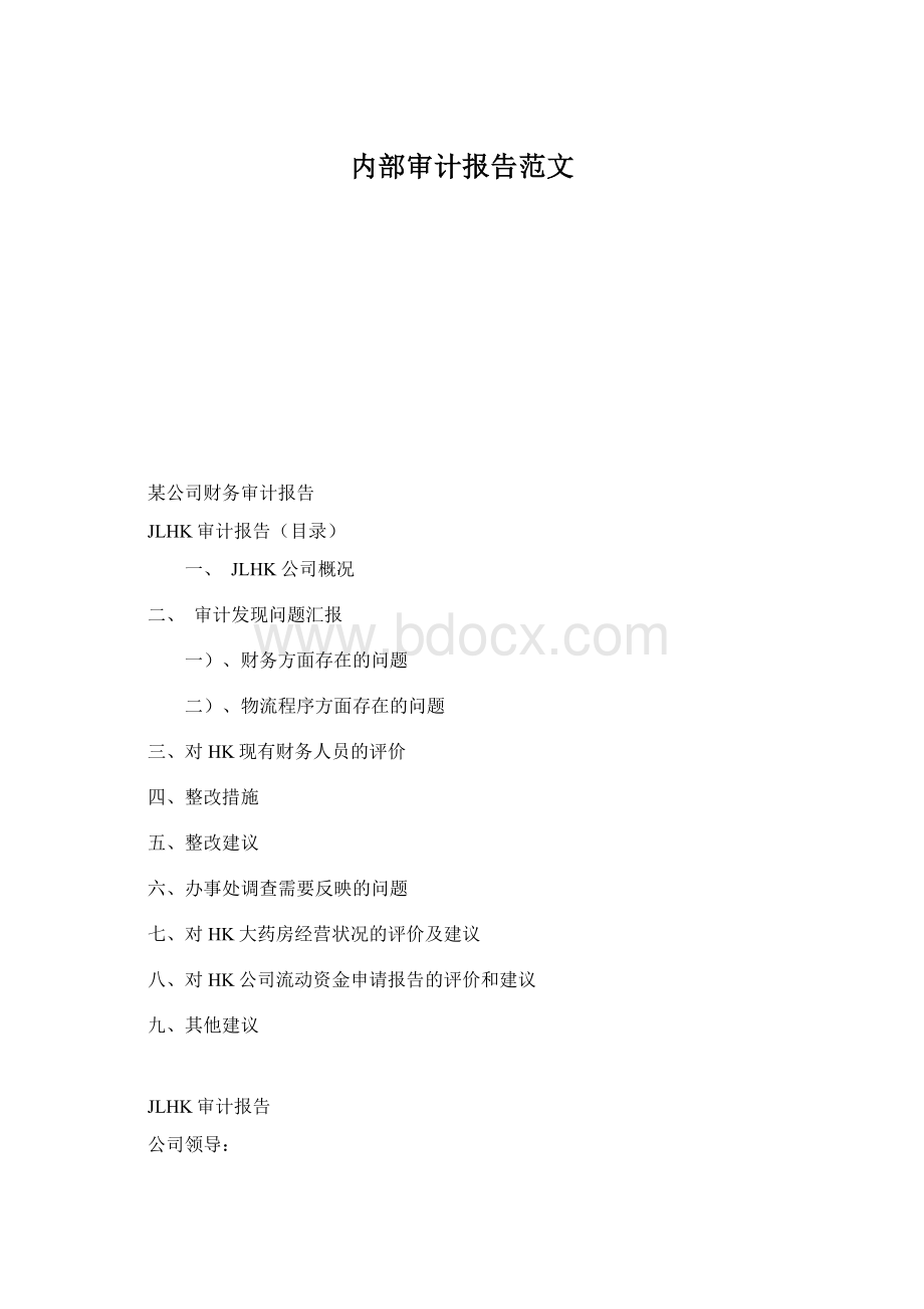 内部审计报告范文Word格式文档下载.docx