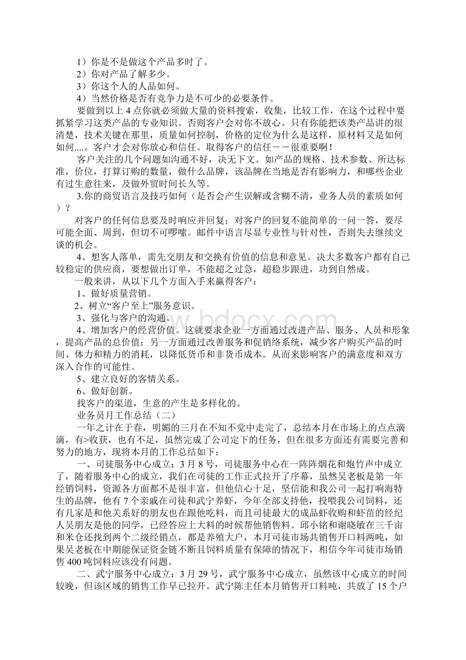 业务员月底底总结报告Word格式文档下载.docx_第2页