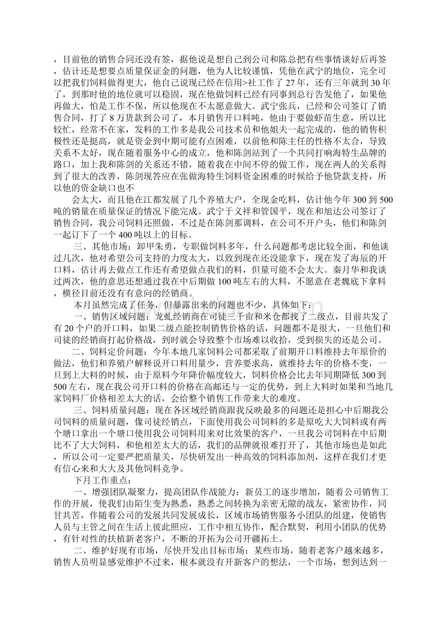 业务员月底底总结报告Word格式文档下载.docx_第3页