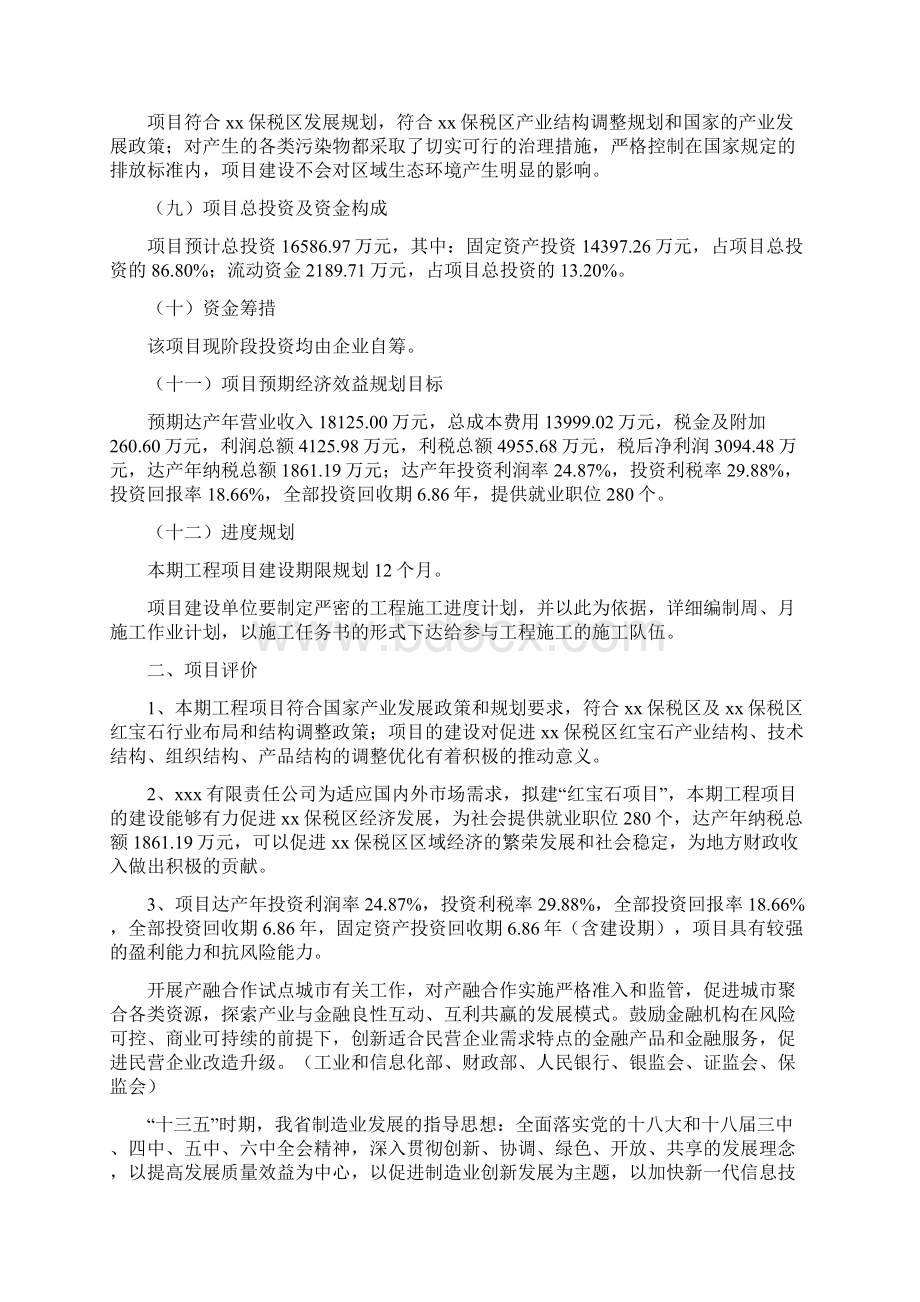 红宝石项目建议书.docx_第2页