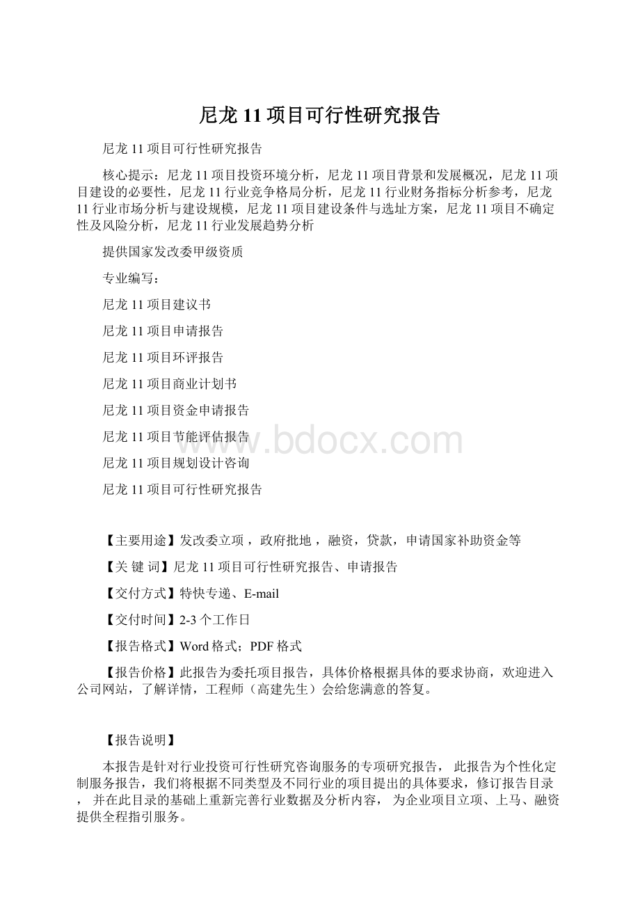 尼龙11项目可行性研究报告.docx_第1页