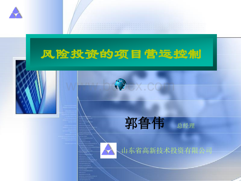 风险投资的项目营运控制.ppt_第1页