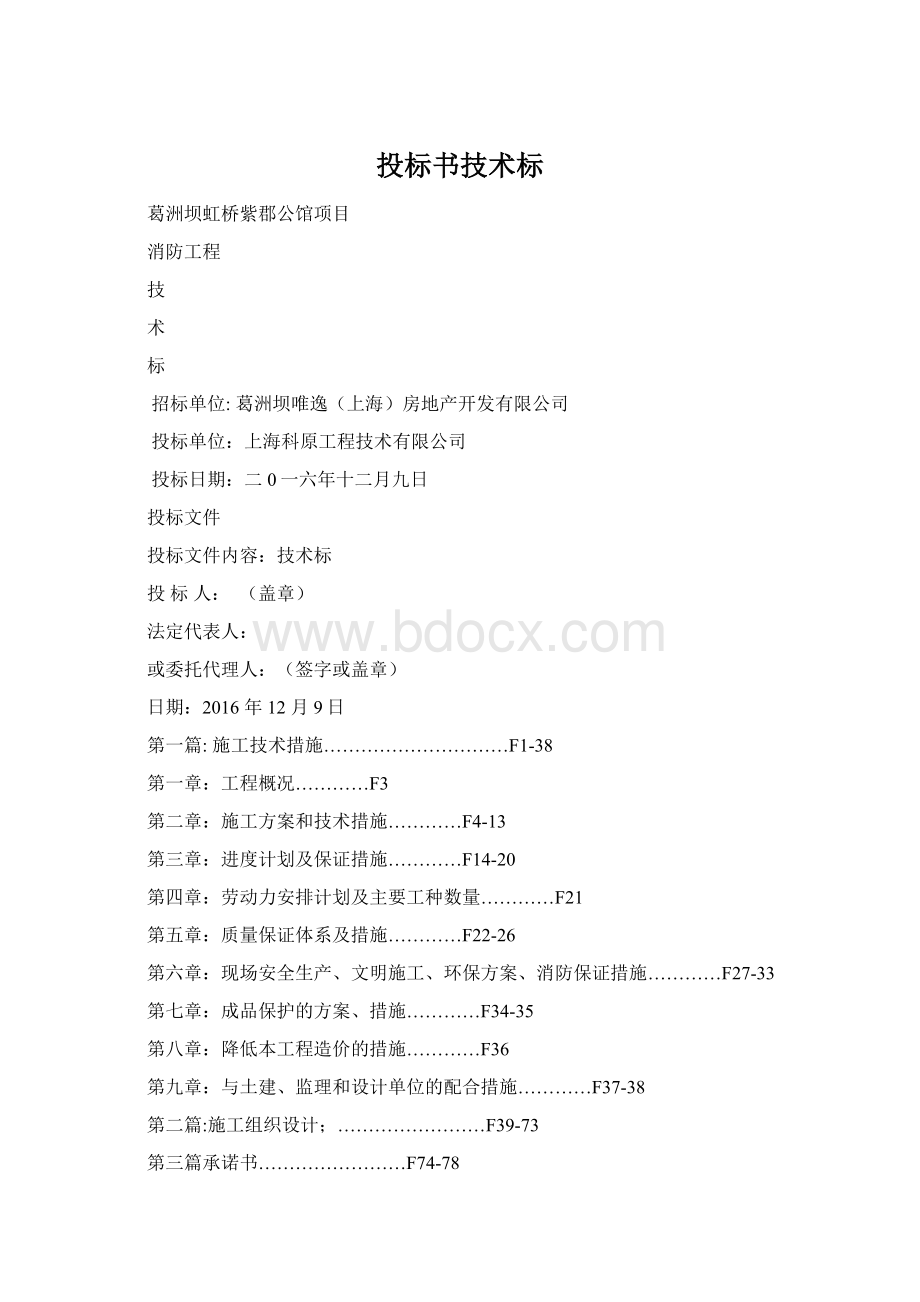 投标书技术标文档格式.docx