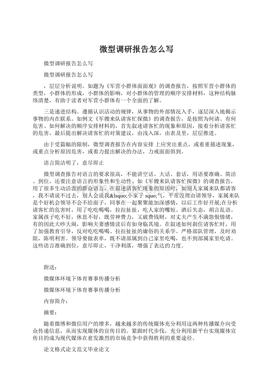 微型调研报告怎么写Word格式.docx_第1页