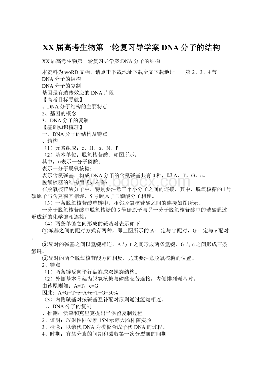 XX届高考生物第一轮复习导学案DNA分子的结构Word文档下载推荐.docx