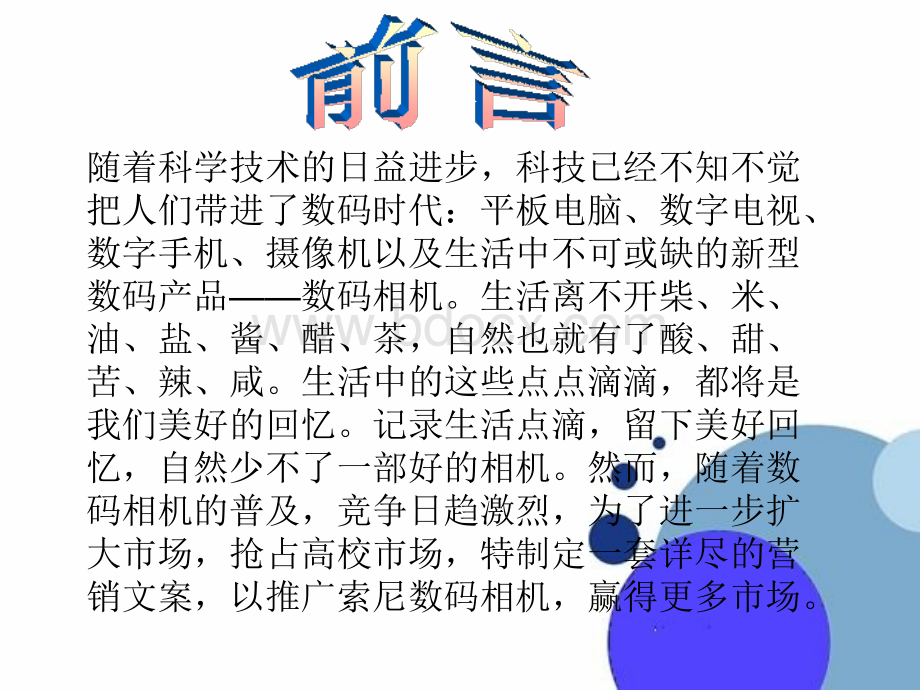 索尼策划书.ppt_第2页