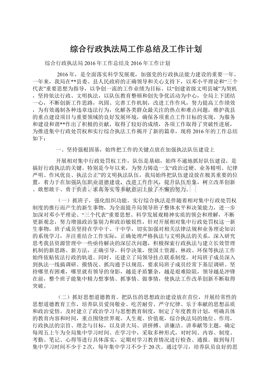 综合行政执法局工作总结及工作计划.docx