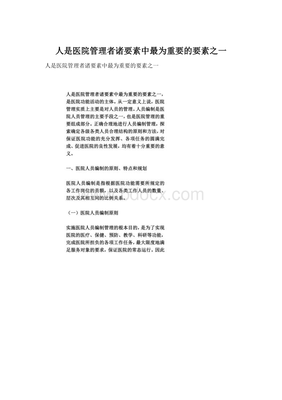 人是医院管理者诸要素中最为重要的要素之一文档格式.docx