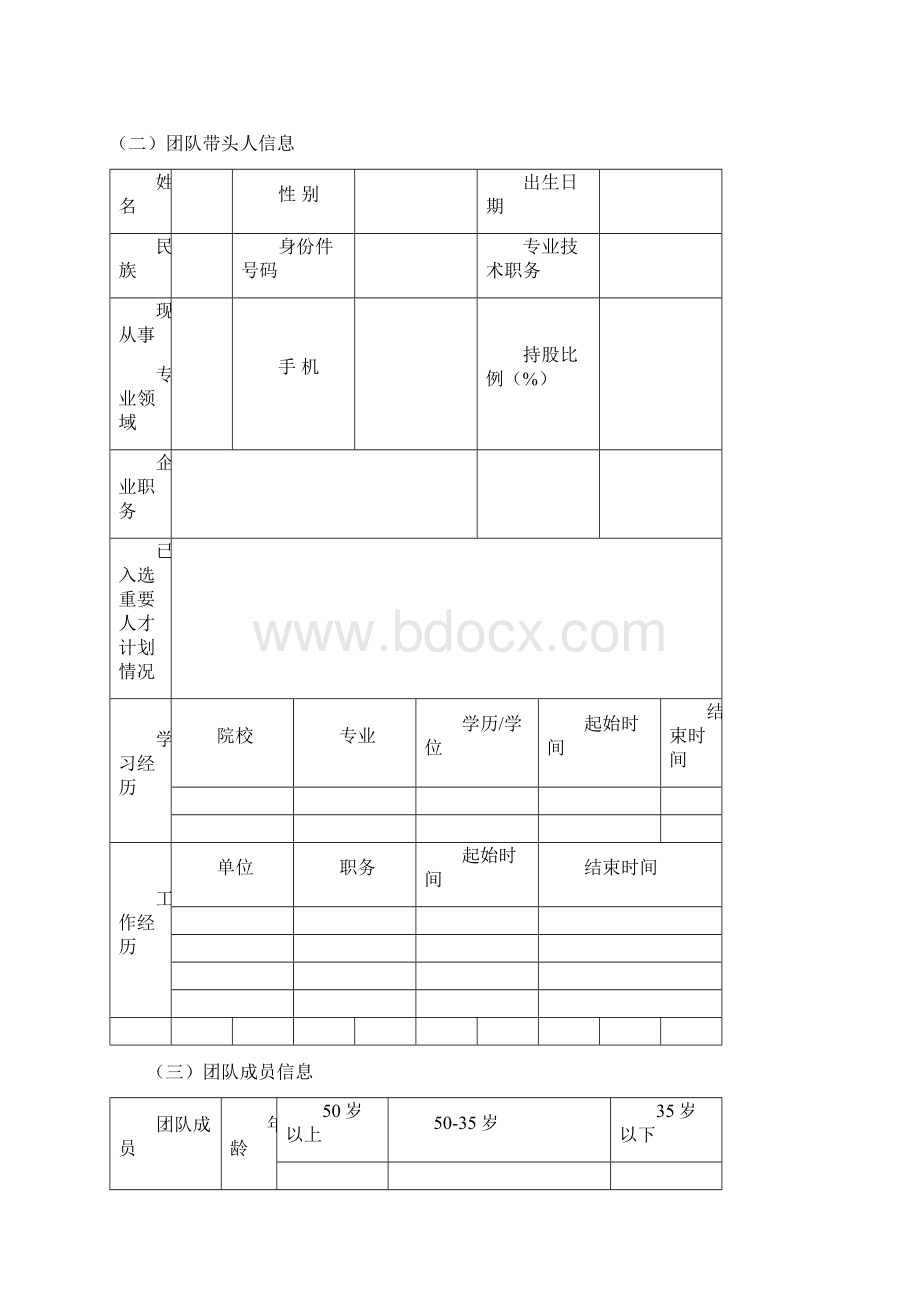 邵阳企业科技创新创业团队Word格式.docx_第3页