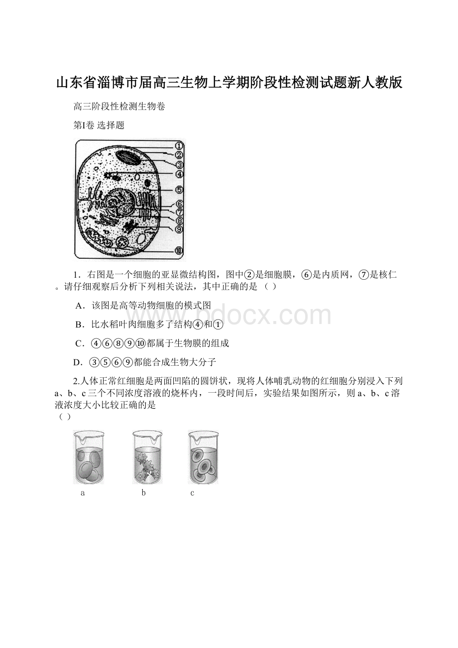 山东省淄博市届高三生物上学期阶段性检测试题新人教版.docx