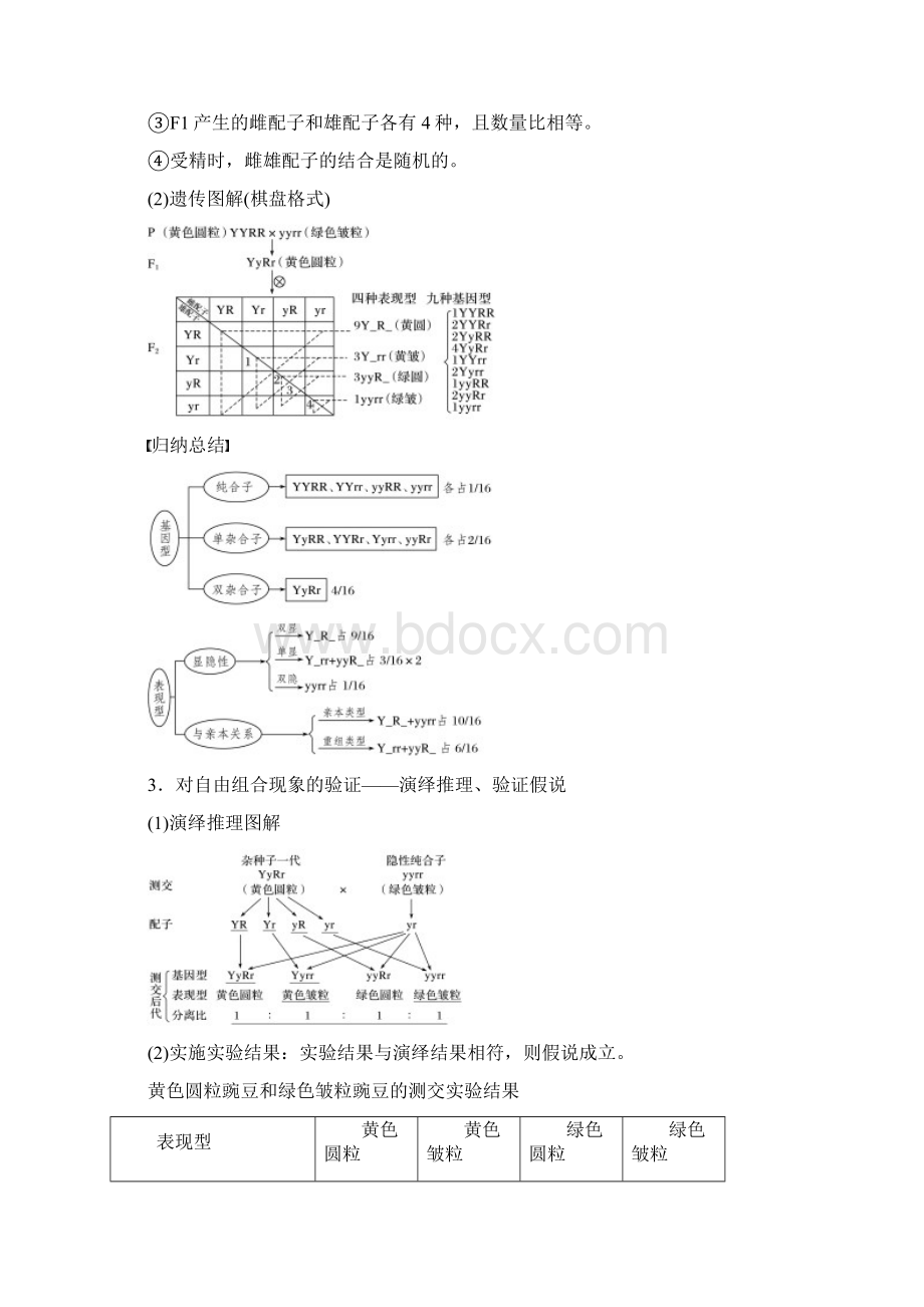 人教通用高考大一轮复习第五单元基因的传递规律第15讲基因的自由组合定律讲义生物Word格式文档下载.docx_第2页