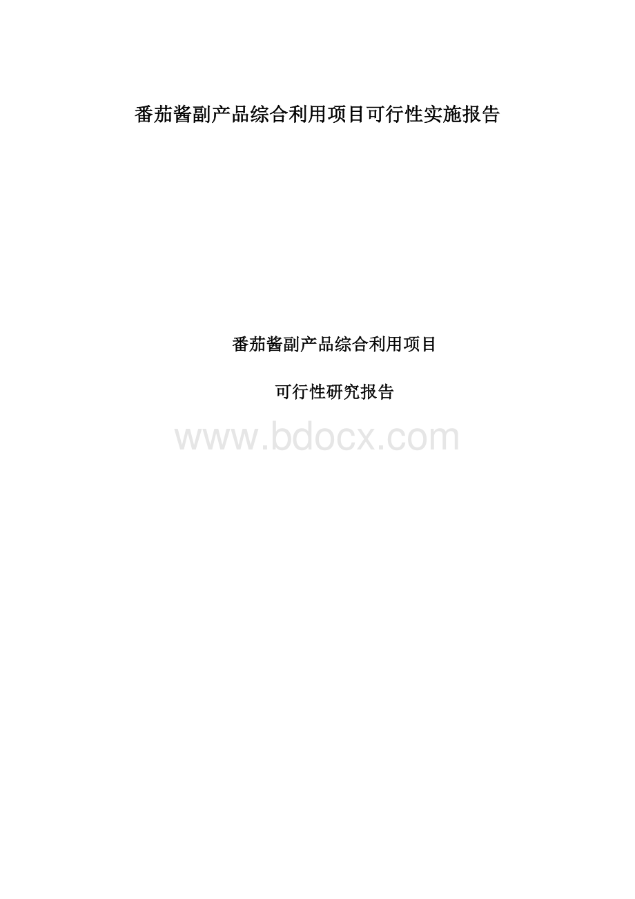 番茄酱副产品综合利用项目可行性实施报告文档格式.docx