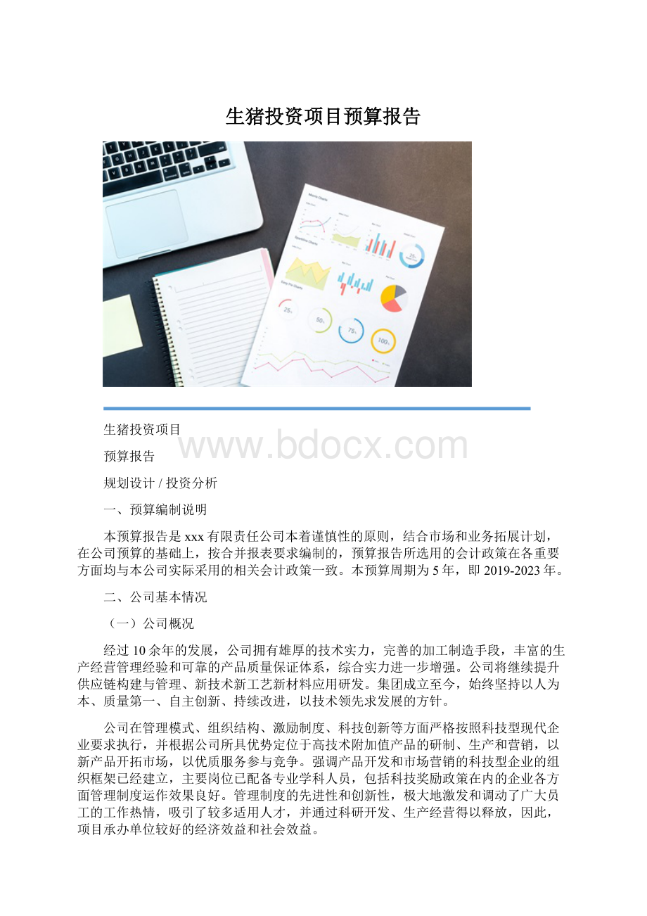 生猪投资项目预算报告Word格式.docx_第1页