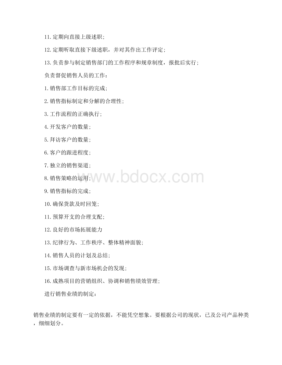 销售总监销售计划.docx_第2页