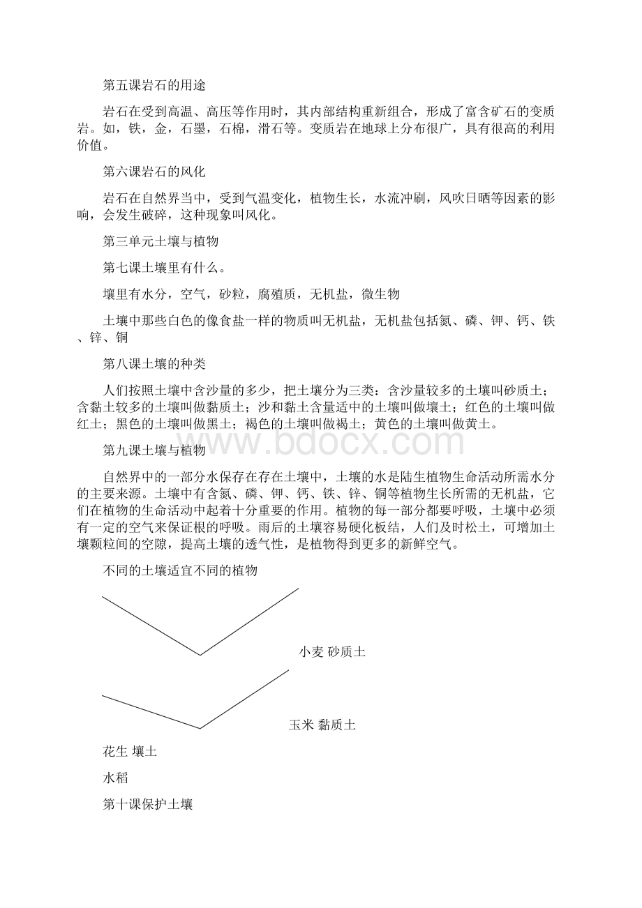 青岛版四年级下册《科学》期末复习资料.docx_第2页