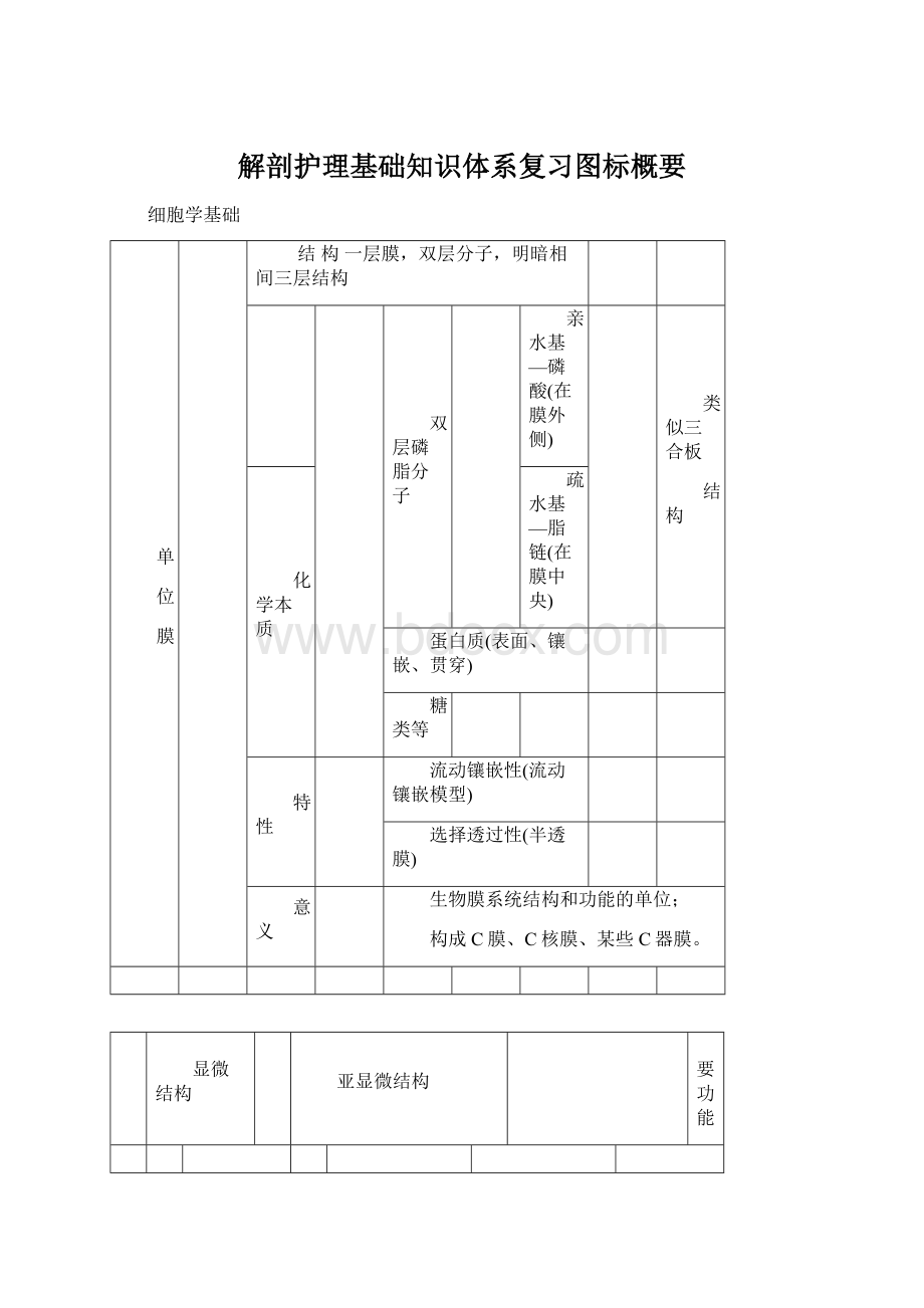 解剖护理基础知识体系复习图标概要.docx