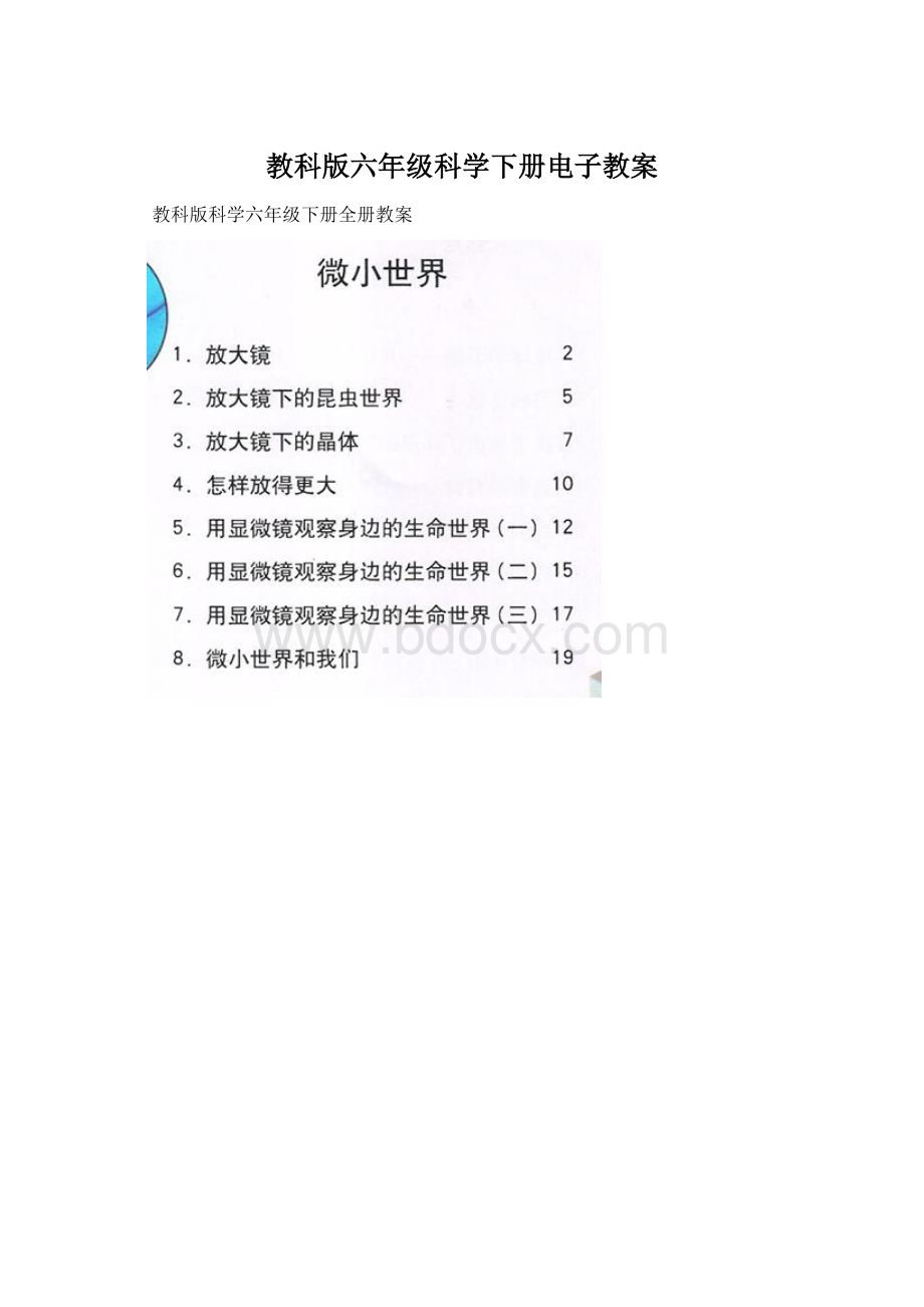 教科版六年级科学下册电子教案Word文件下载.docx_第1页