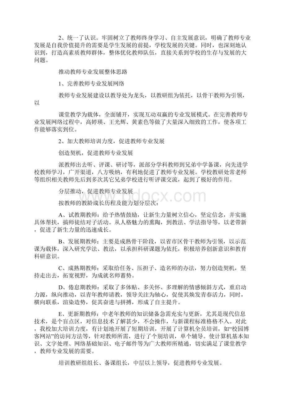 学校教师专业发展工作总结.docx_第2页