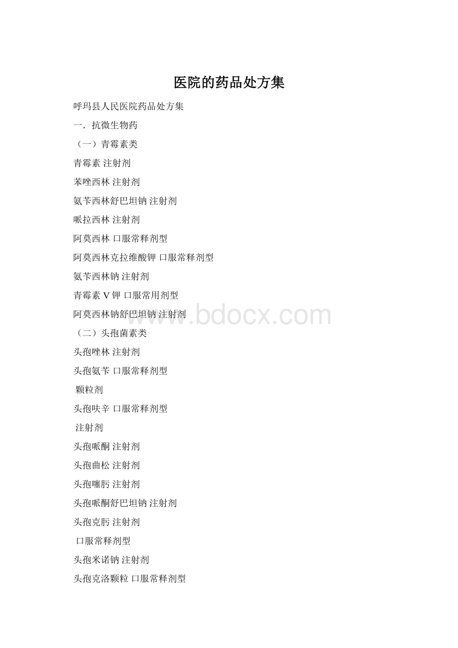 医院的药品处方集Word格式.docx