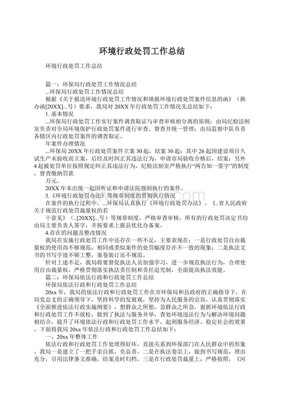 环境行政处罚工作总结文档格式.docx