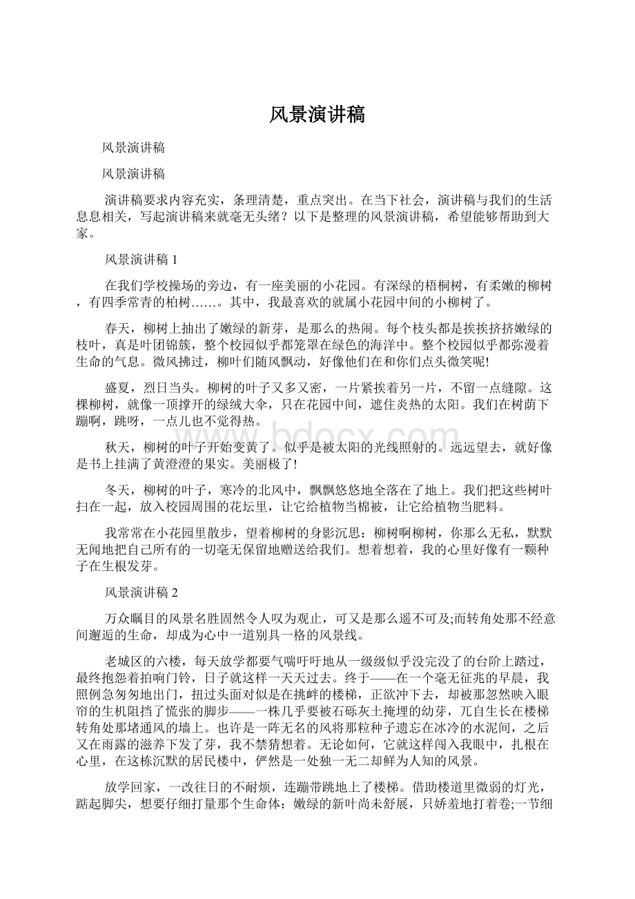 风景演讲稿文档格式.docx_第1页