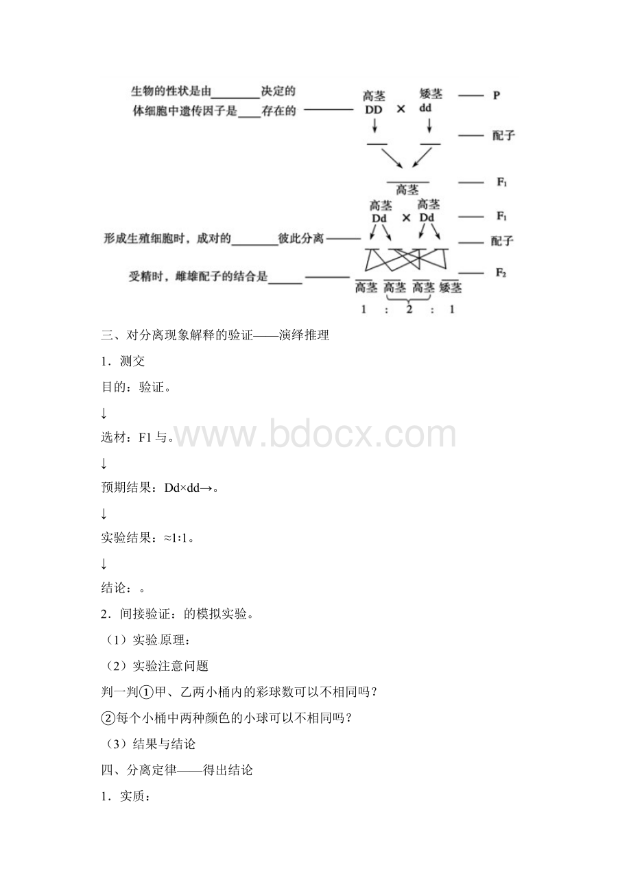 赢在起点204高考生物第一轮复习学案第9讲孟德尔的豌豆杂交实验一.docx_第2页