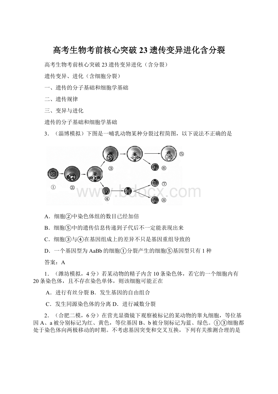 高考生物考前核心突破 23遗传变异进化含分裂Word文档下载推荐.docx