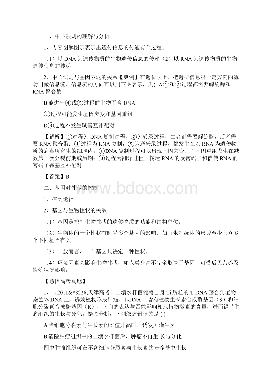 届高考生物第一轮基因对性状的控制复习导学案文档格式.docx_第2页