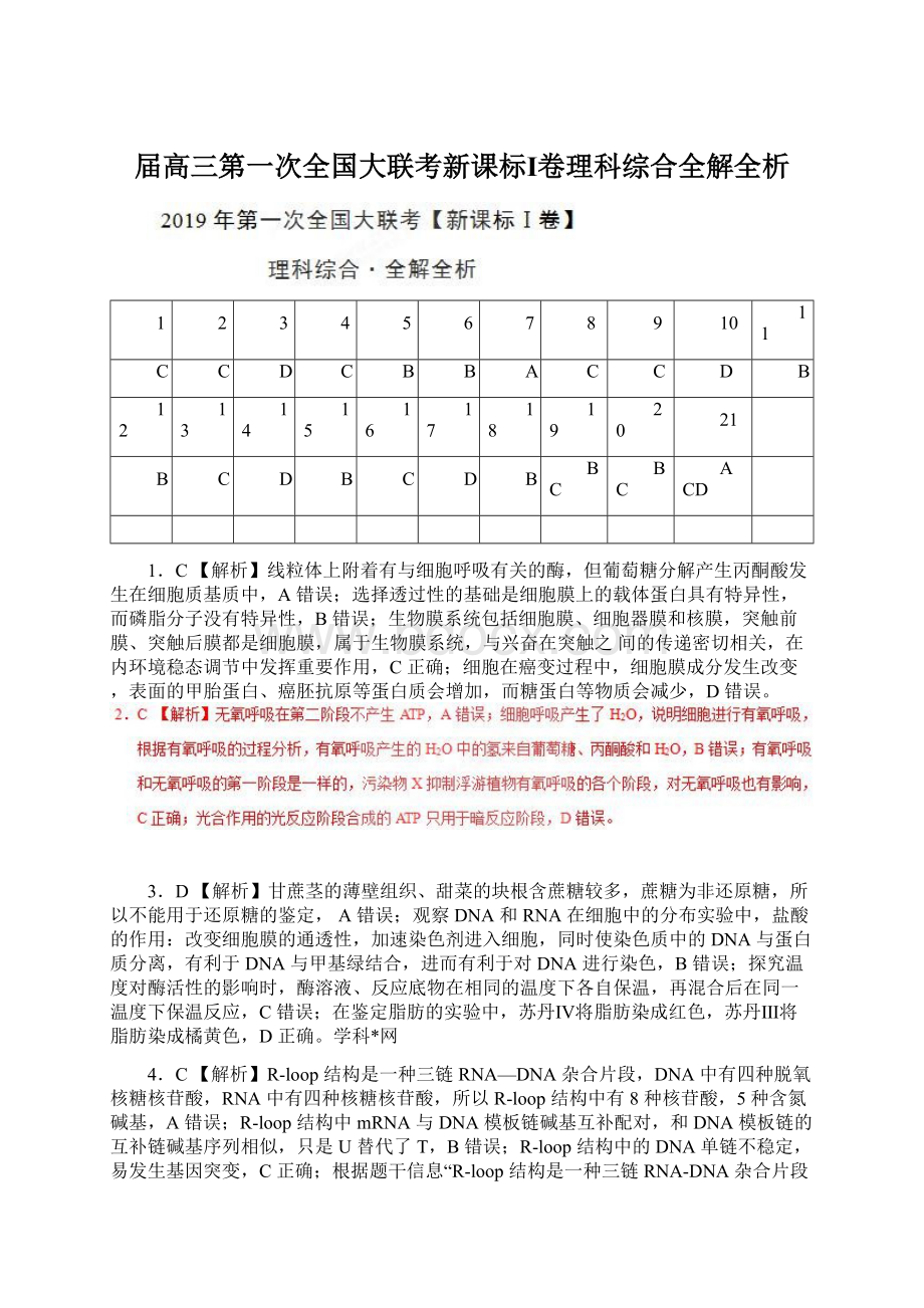 届高三第一次全国大联考新课标Ⅰ卷理科综合全解全析Word格式.docx_第1页