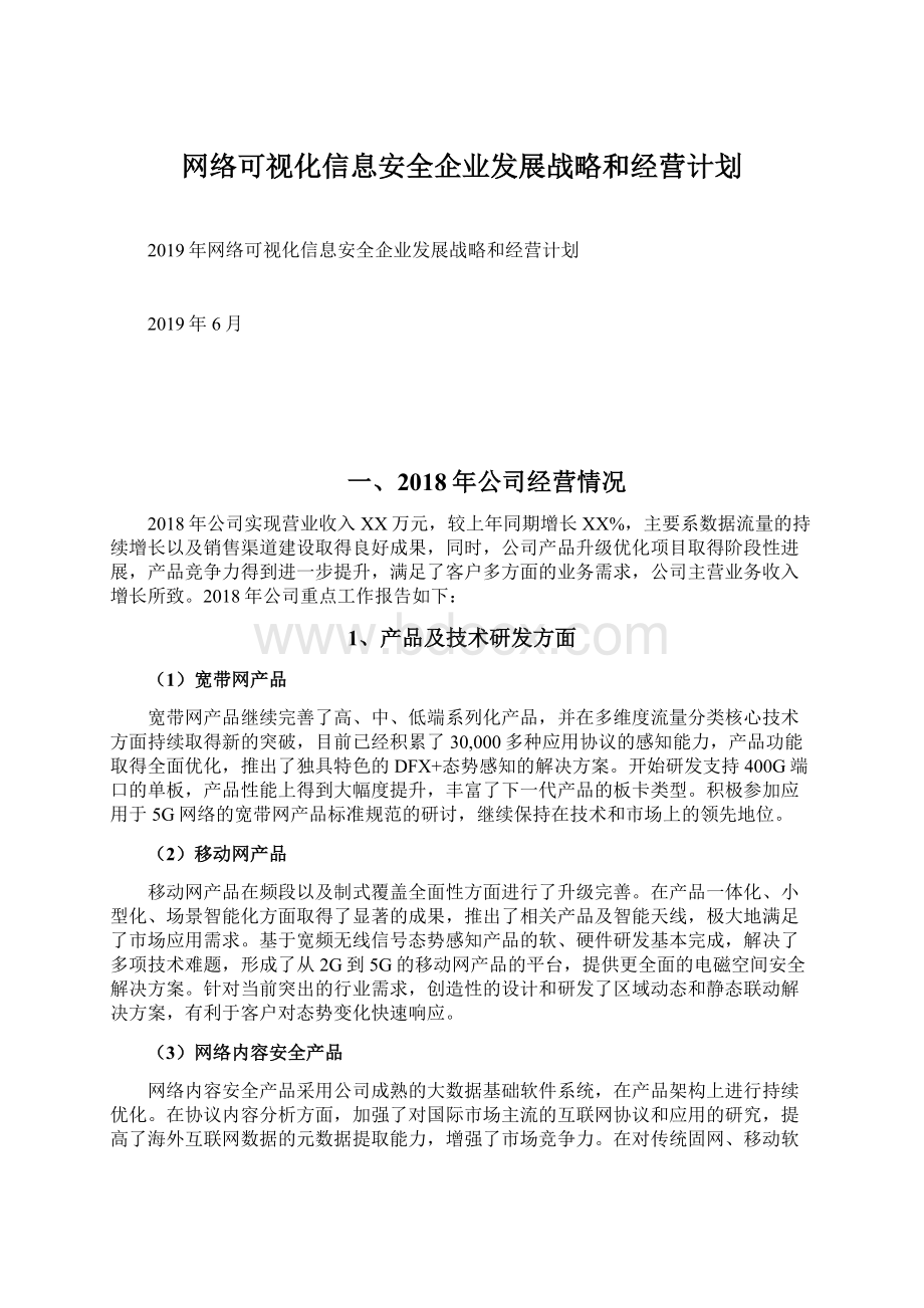 网络可视化信息安全企业发展战略和经营计划.docx