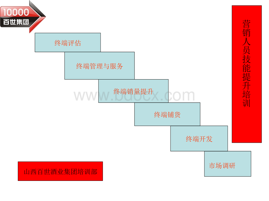 销售员终端市场调.ppt_第1页