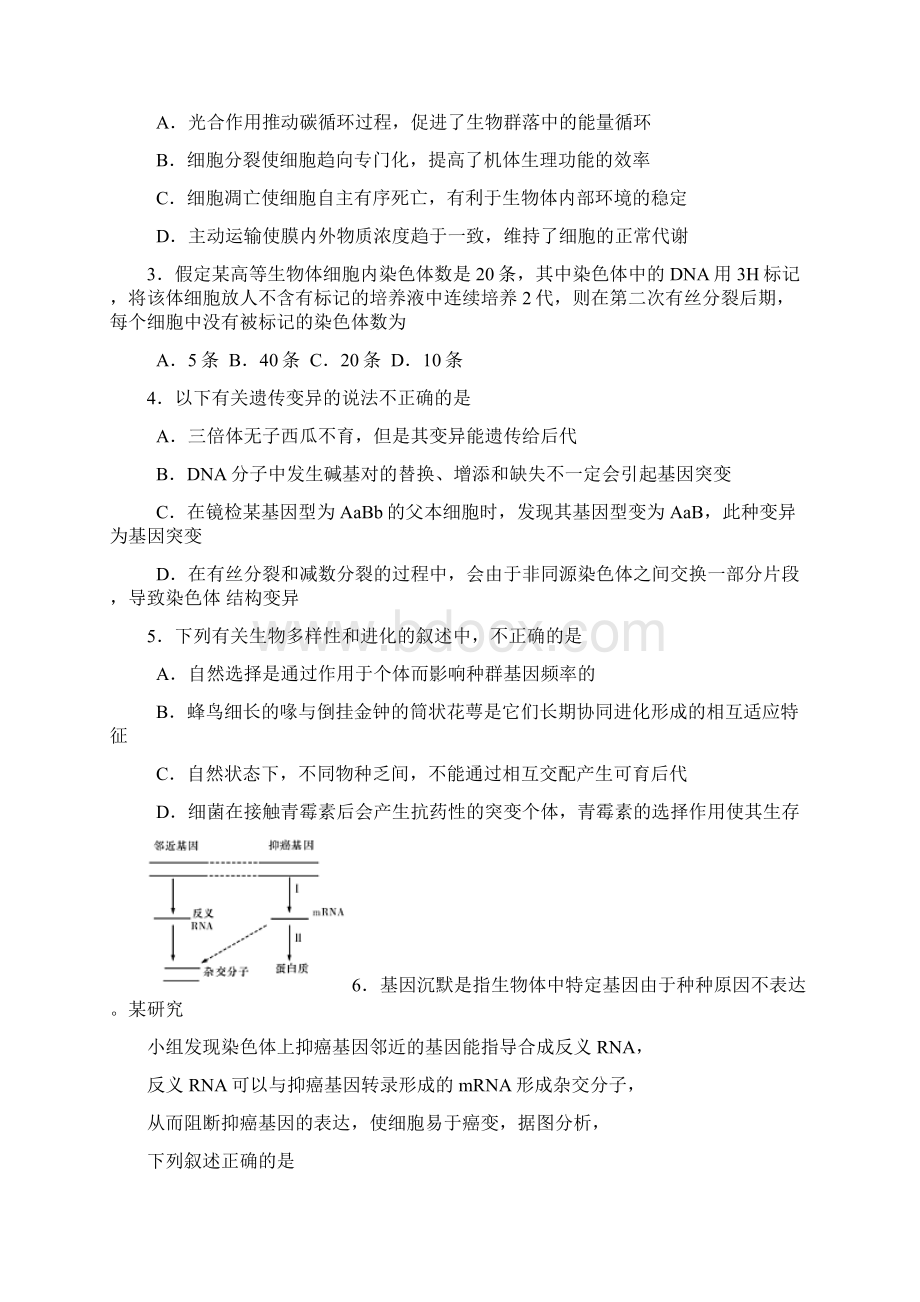 届湖南省高三Word文件下载.docx_第2页