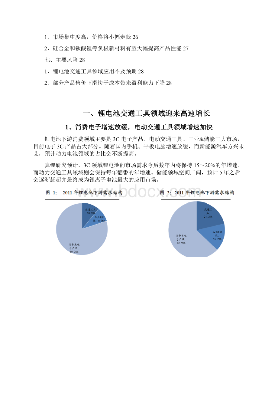 锂电池材料行业分析报告文档格式.docx_第2页