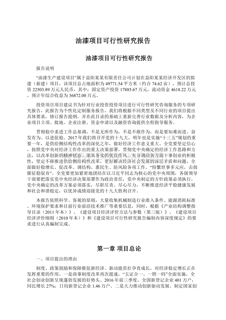 油漆项目可行性研究报告Word文档下载推荐.docx_第1页