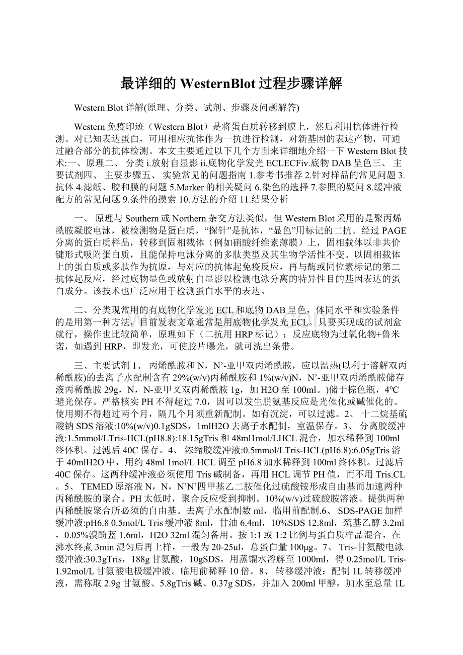 最详细的WesternBlot过程步骤详解Word文档格式.docx_第1页