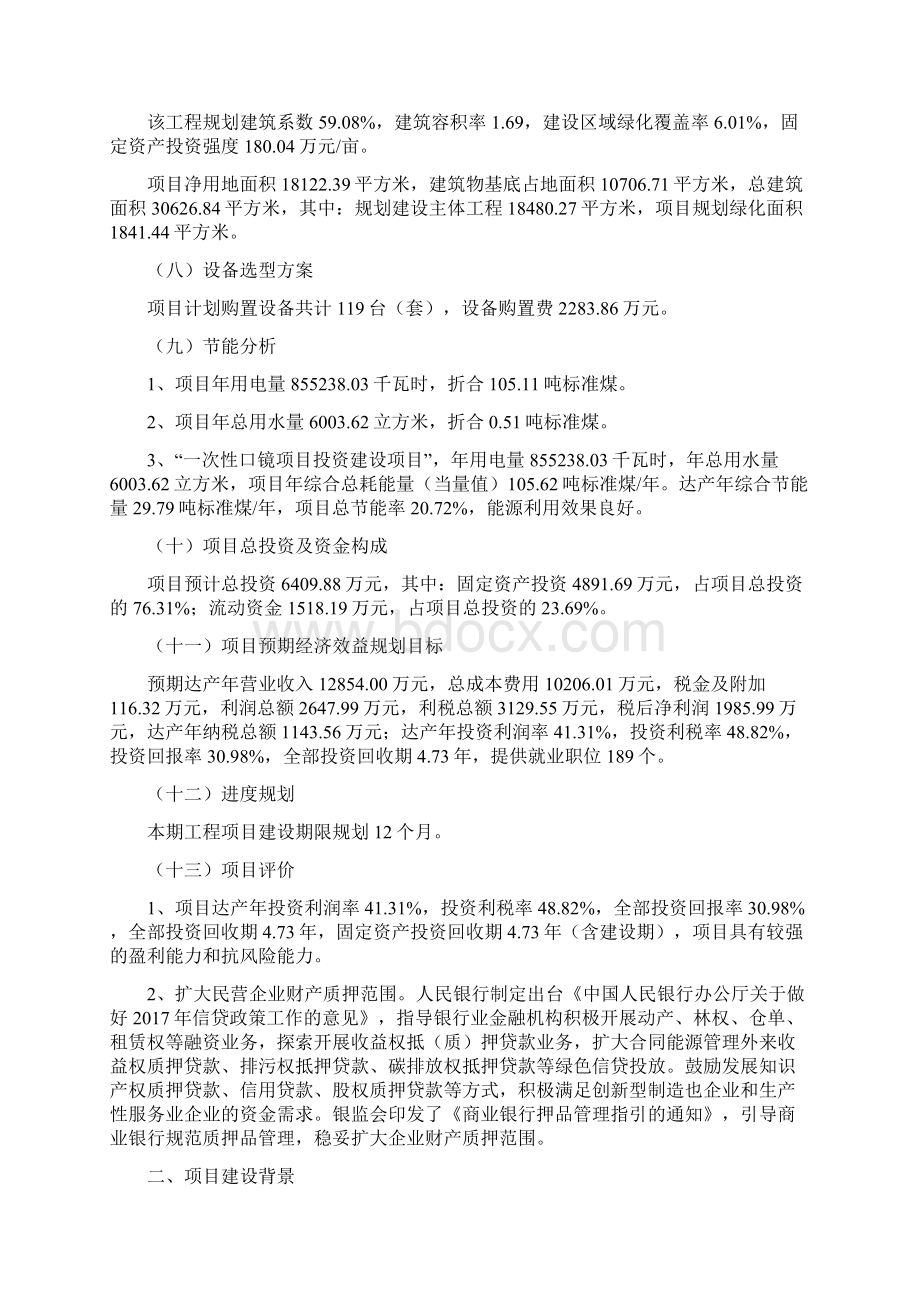 一次性口镜项目立项备案申请报告.docx_第2页